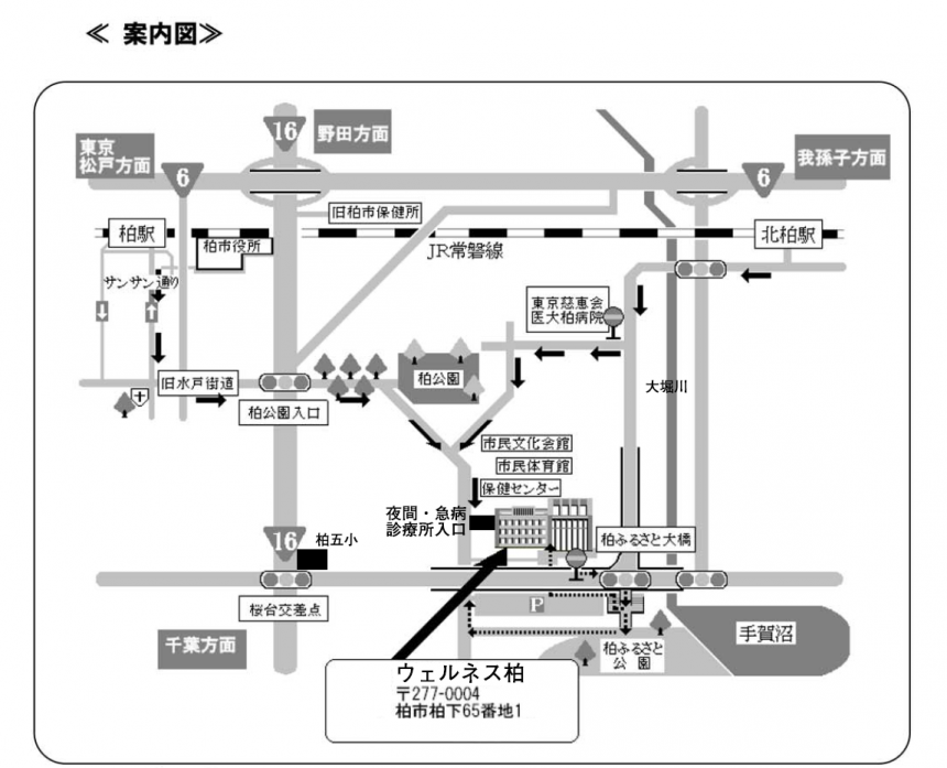 ウェルネス柏アクセス