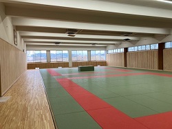 judo