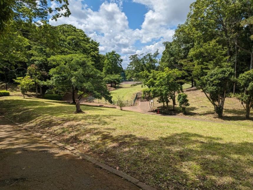 大津ヶ丘中央公園