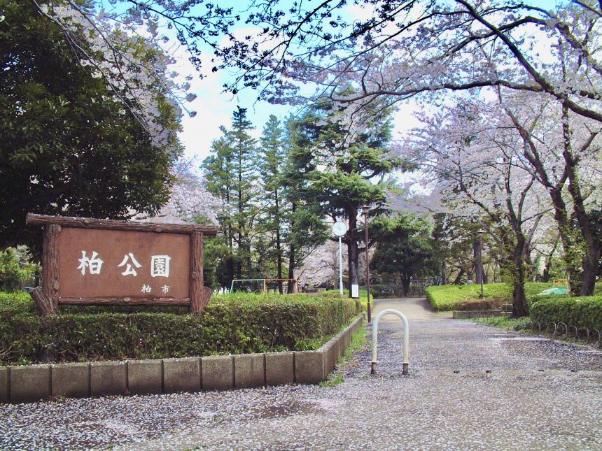 柏公園