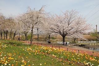 北柏ふるさと公園
