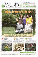 10月15日号1面の画像