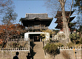 東海寺全景