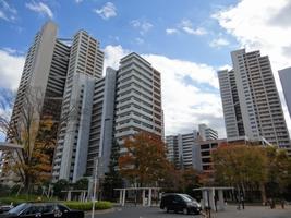 柏の葉地区