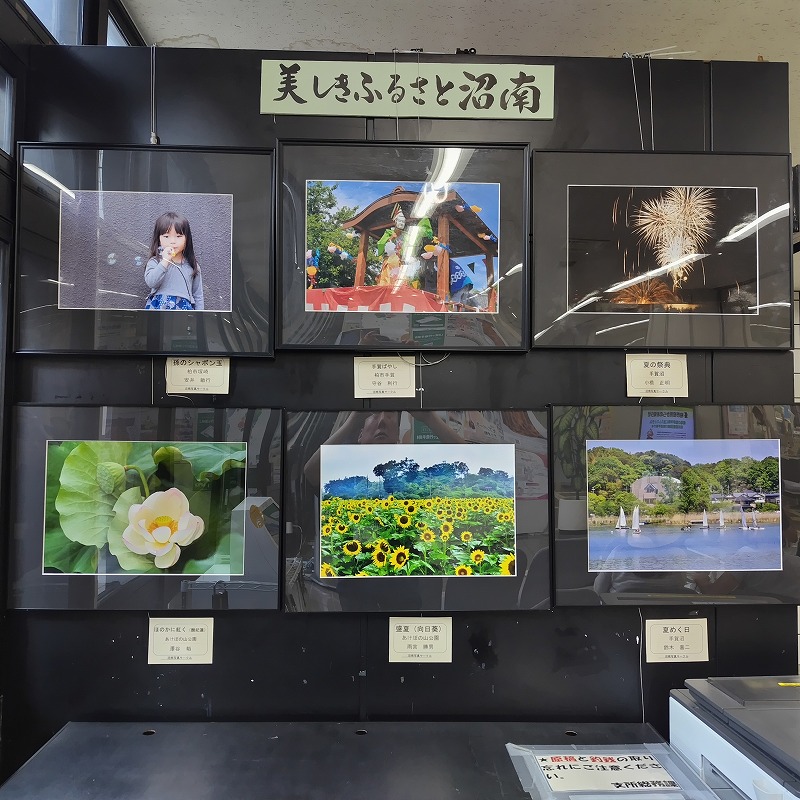 ふるさと沼南写真