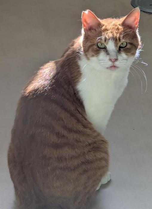 一郎の写真2