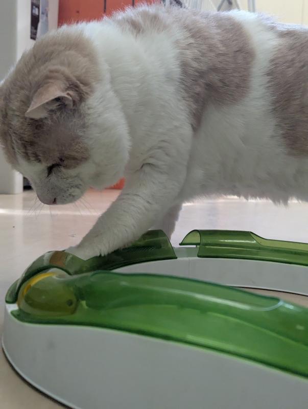 まるおの写真2