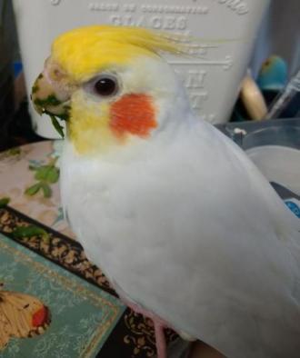 他逸走1番