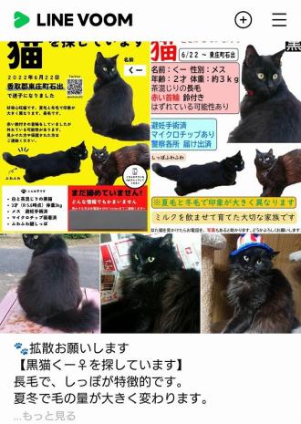 猫逸走63番