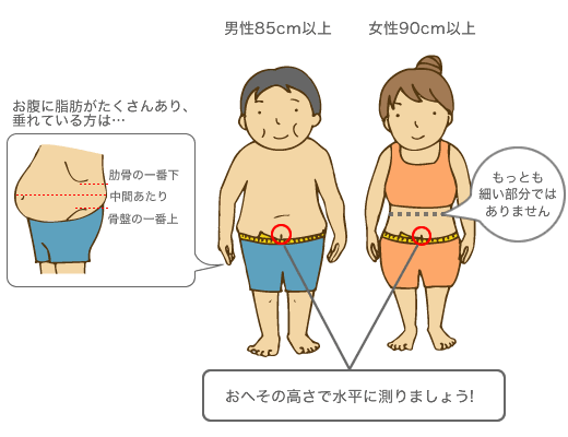 腹囲の測り方