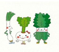 ネギ、カブ、ほうれん草のイラスト
