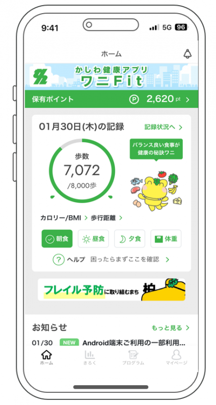 ワニFit