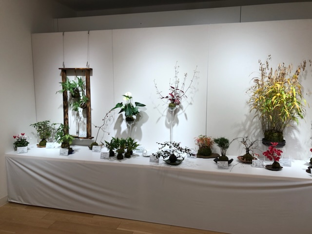 展示写真