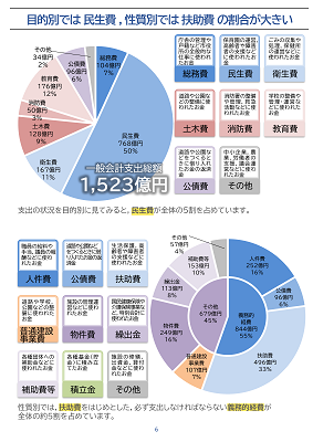 どうなっているの柏市の財政 P6