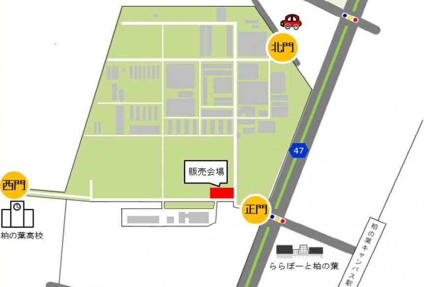 シクラメン祭り