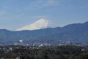 市役所からの眺め