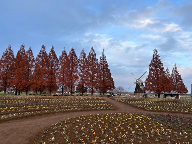 あけぼの山農業公園