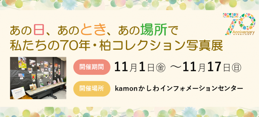 柏コレクションサムネイル画像