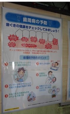 歯パネル