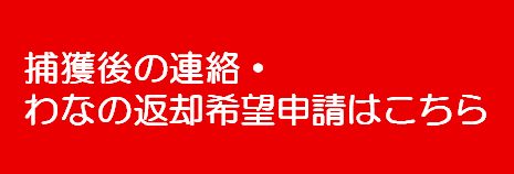わな返却フォームボタン