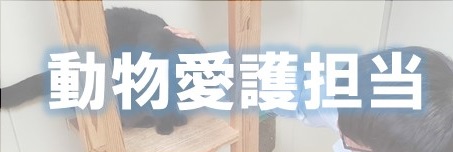 動物愛護担当バナー