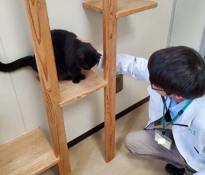 動物担当者