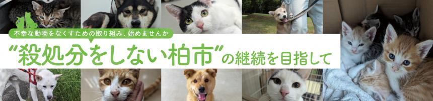 バナー画像（殺処分をしない柏市の継続を目指して）