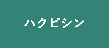 ハクビシン