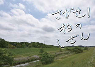 さがせ柏の自然表紙