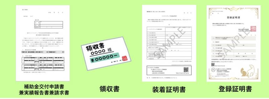 郵送申請セット（正)