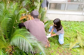 公園