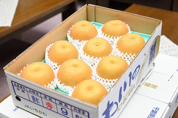 梨2