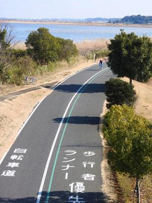手賀沼自然ふれあい緑道