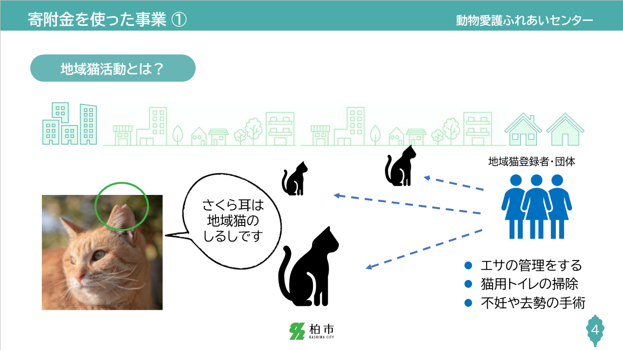 slide4