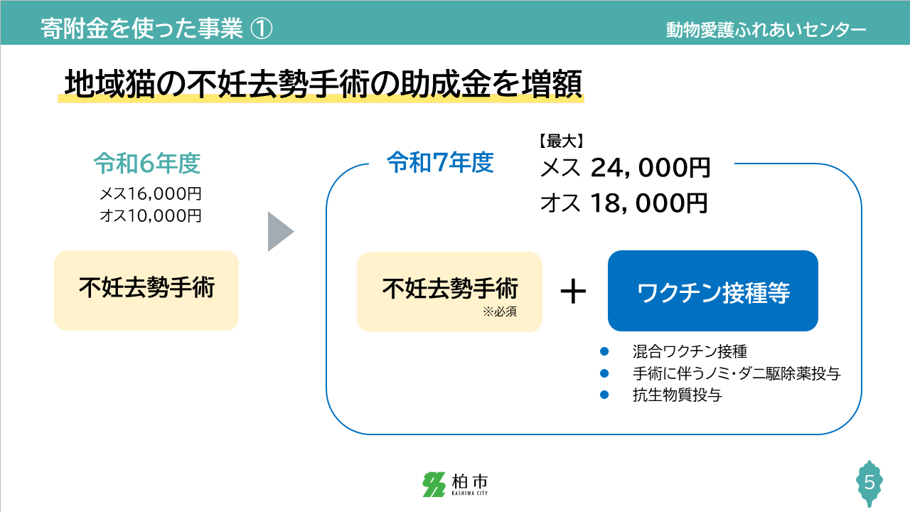 slide5