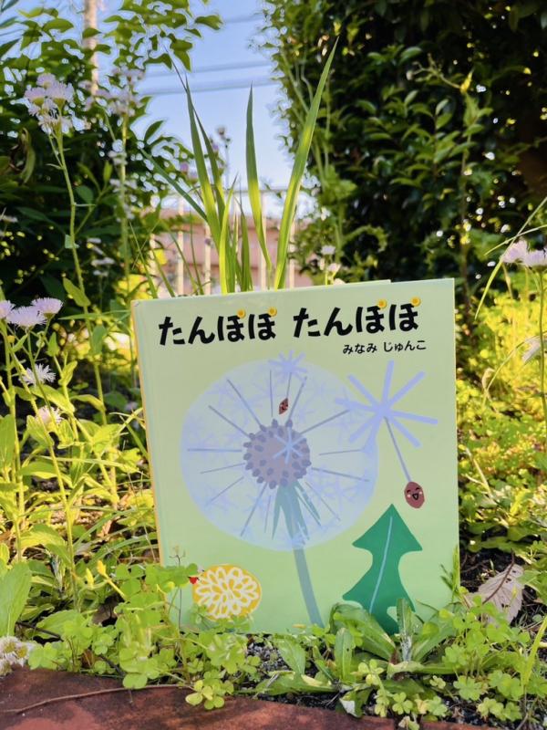 たんぽぽたんぽぽ