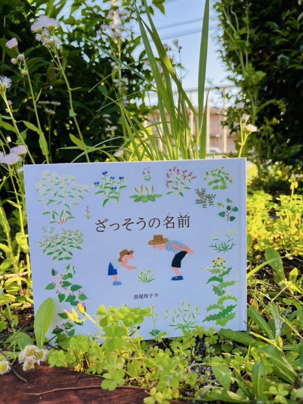 ざっそうの名前