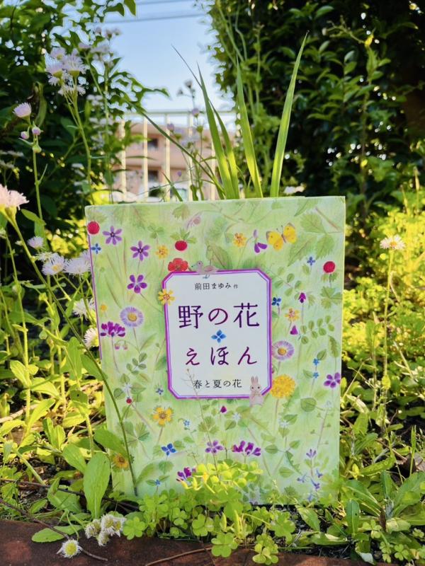 野の花えほん 春と夏の花