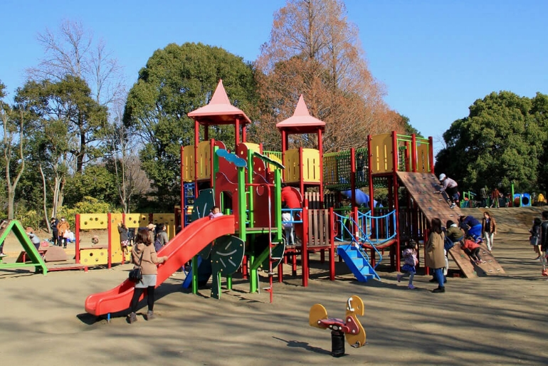 柏の葉公園