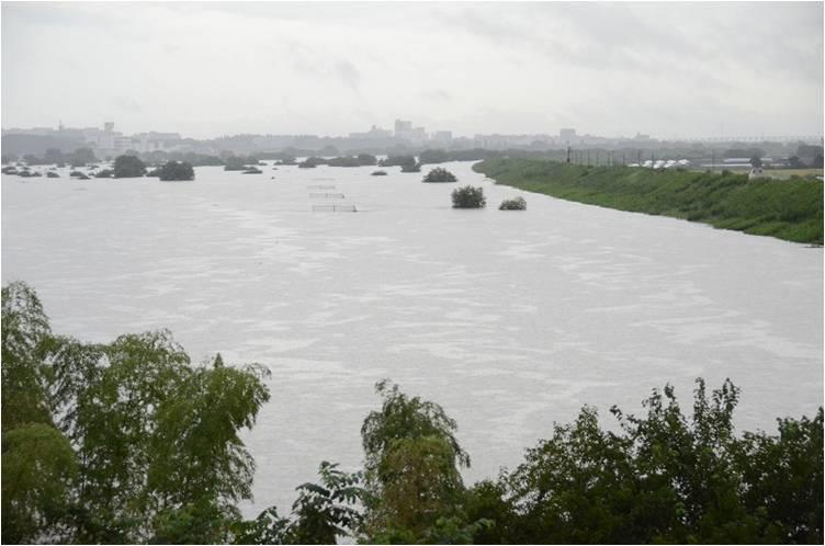 平成27年9月大雨時の柏市の氾濫した川の様子2